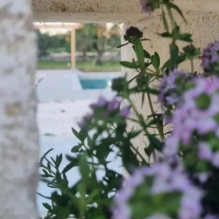 Villa Trullo Morello Complete Experience Ostuni