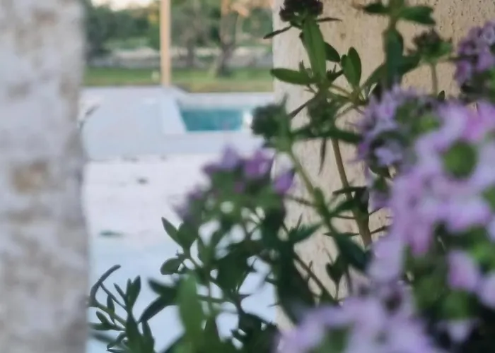 Вилла Trullo Morello - Full Experience Остуни