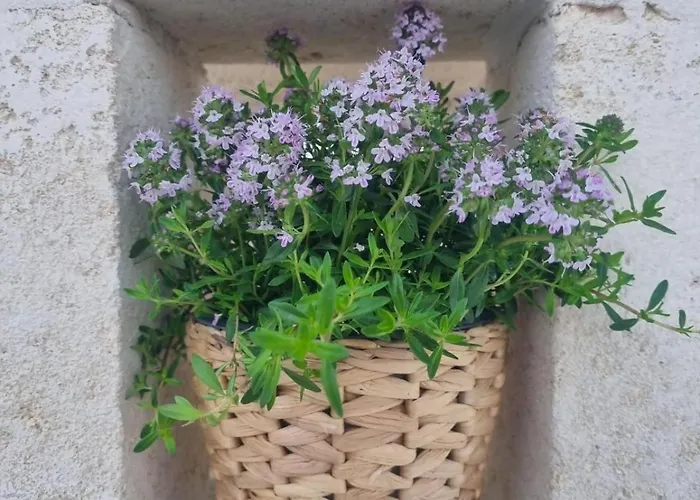 Вилла Trullo Morello - Full Experience